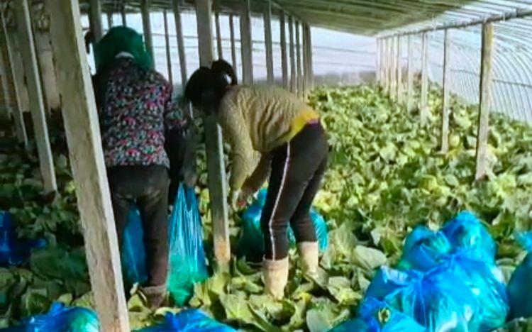 临沂家具批发市场网，打造一站式家具采购新平台