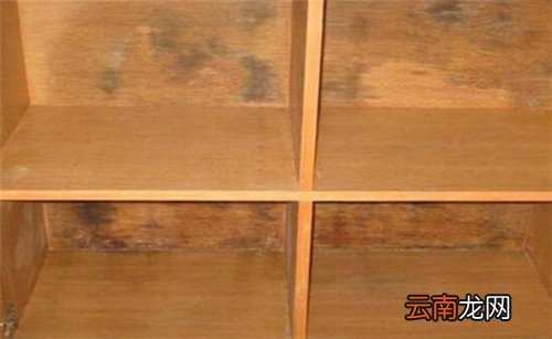 家具发霉了怎么办？——全面指南与实用解决方案