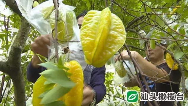 教育网 第216页