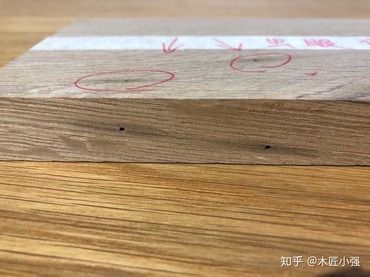 乐安 第256页