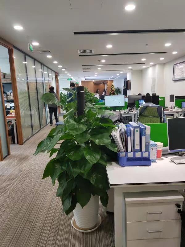探访佛山，家具采购的必经之地？