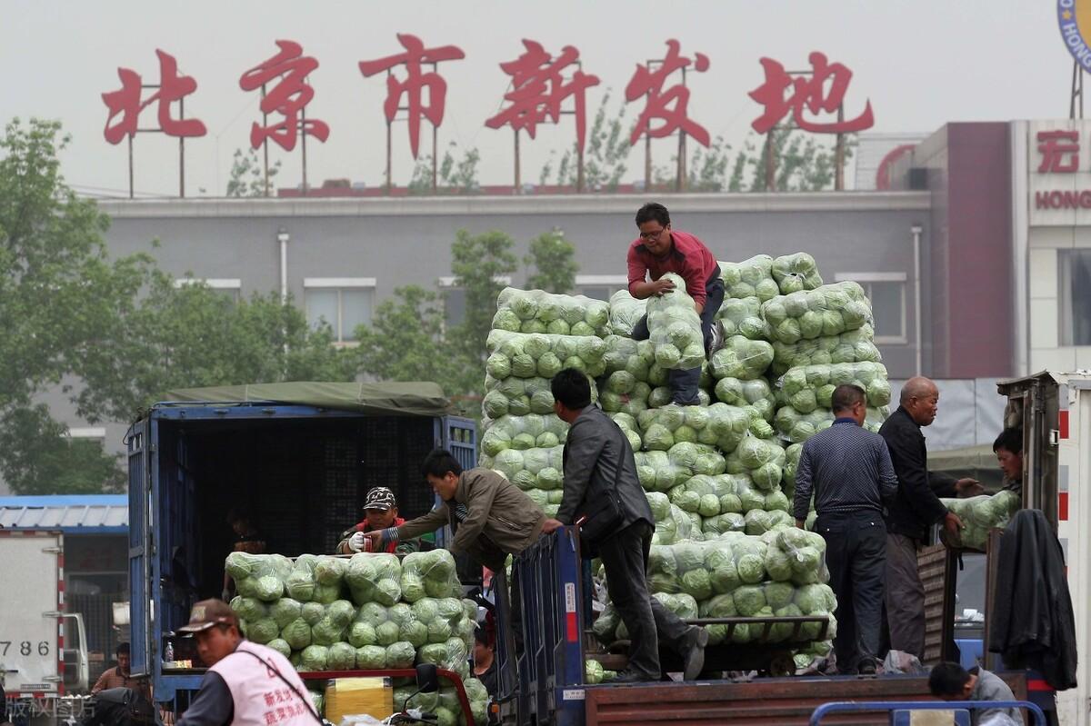 探索中国家具网购新纪元，中国家具网上商城官方网深度解析