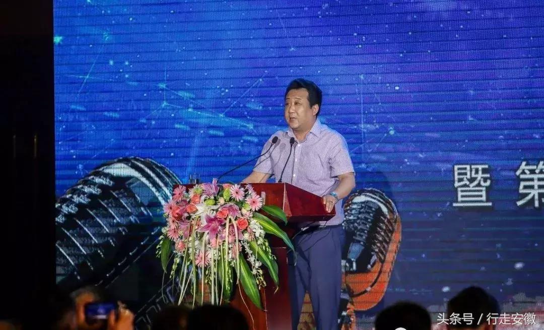安徽定制家具全屋定制公司概览，匠心独运，打造理想居所