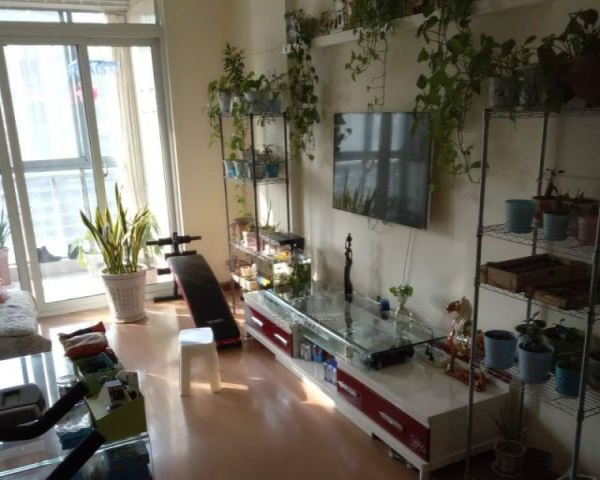 探秘城市中的宝藏，二手家具城的独特魅力