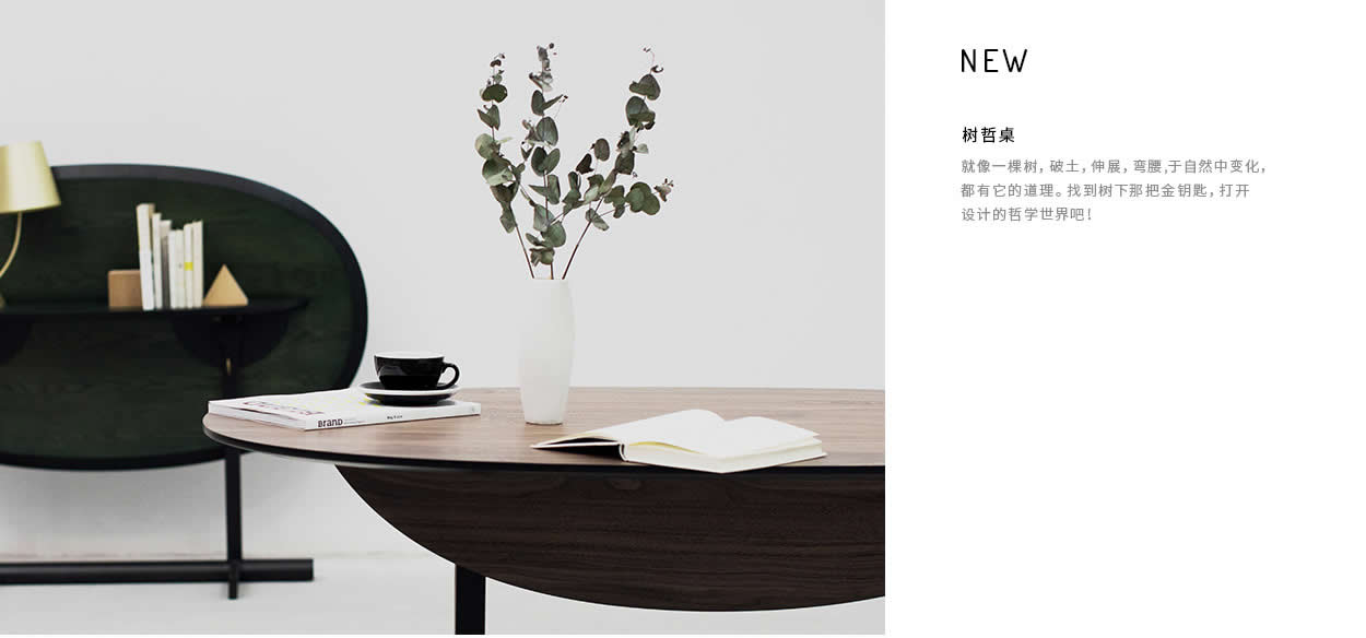 家具品牌排行榜，崎华家新企的崛起与影响力