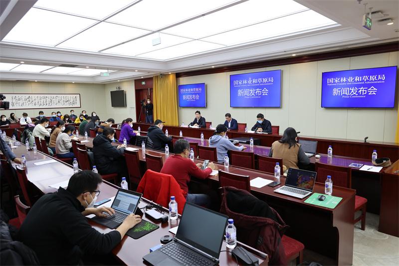 探索自然之美，2023年实木家具木材排行榜揭晓