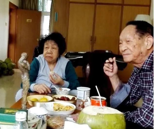 家具维修，从零开始的视频教学指南
