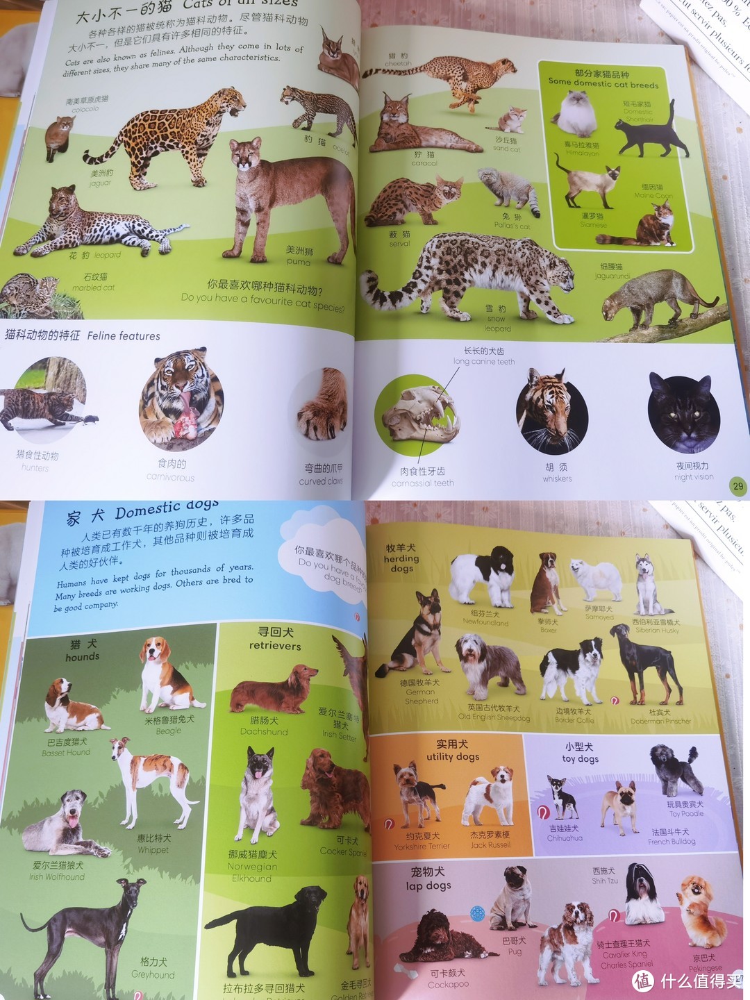 探索家具之美的英语世界，从单词到文化
