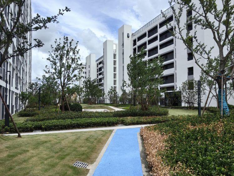 样板房家具报价清单，打造理想居住空间的智慧之选