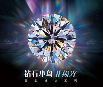 揭秘钻石小鸟价格之谜，为何如此亲民？