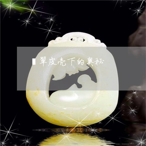 翡翠种水分类图，解锁翡翠世界的奥秘