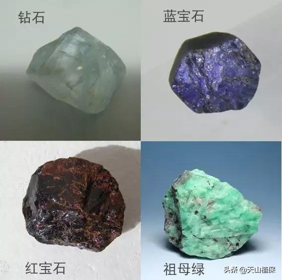 教育网 第87页