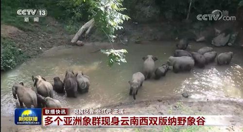 钻石，永恒之爱的背后，价值何在？