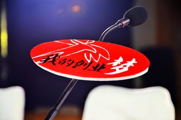 钻石小鸟，梦想照进现实的创业之旅