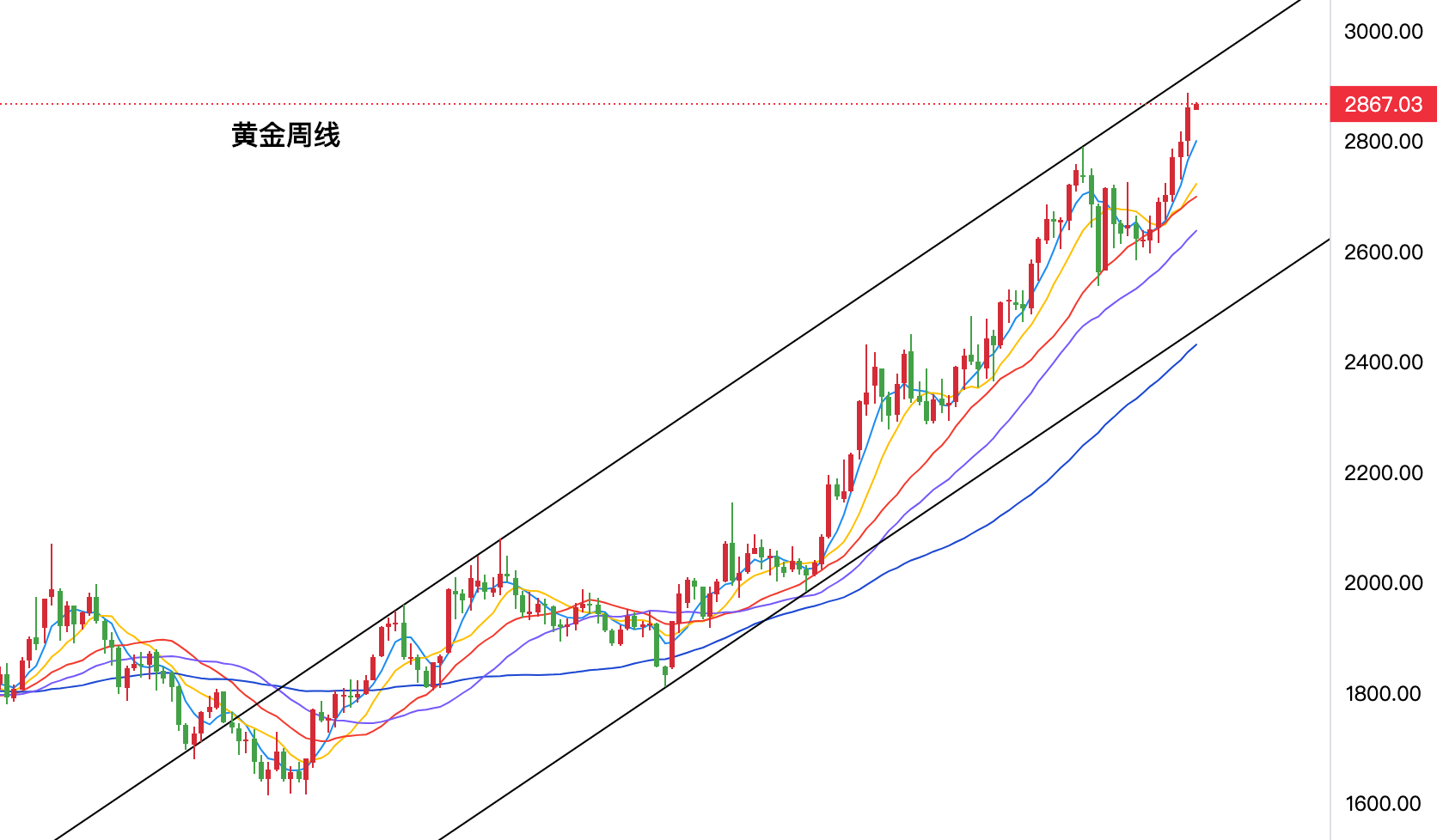 今日黄金价格行情，市场动态与投资策略分析