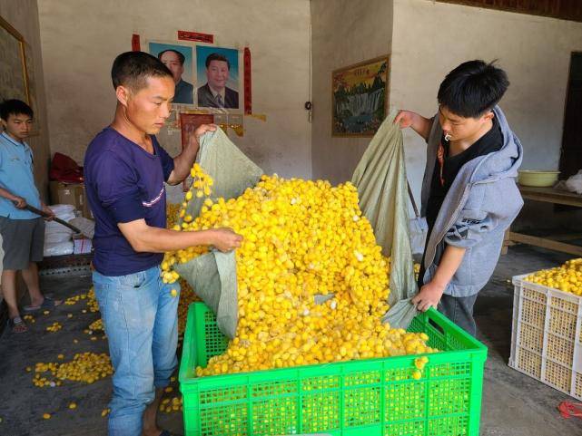 钻石回收，一克拉钻石的回收价格与价值再发现