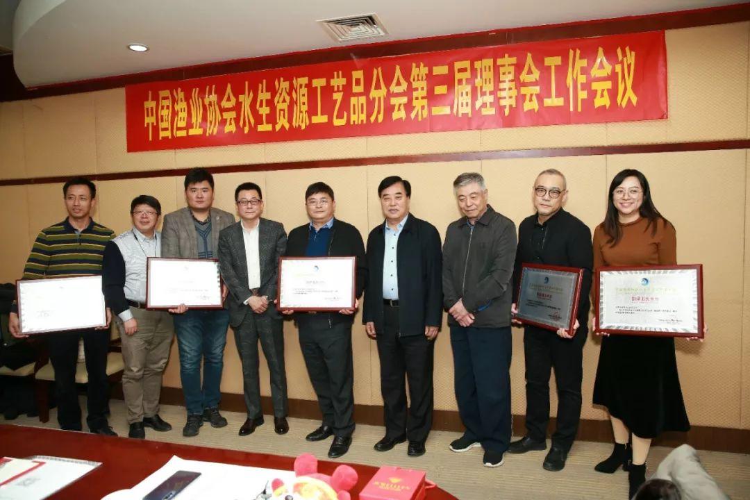 珠宝鉴定新纪元，探索珠宝鉴定网站的奥秘与价值