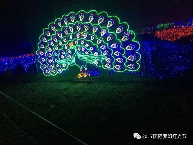 璀璨夺目，钻石图片与图案大全探索