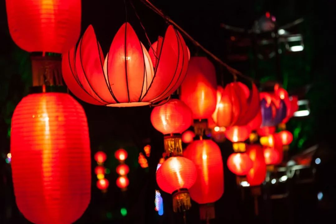 今宵月圆夜，四不像生肖图之谜