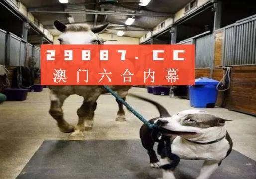 企业文化 第48页