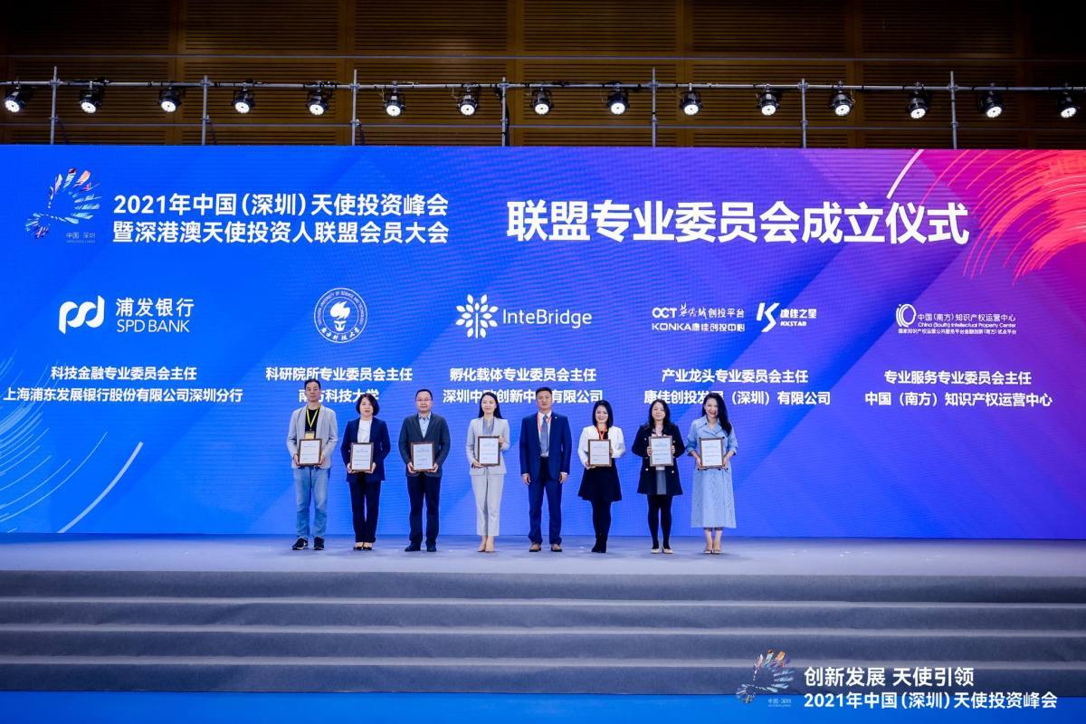 凤凰天使论坛，网络文化交流的璀璨明珠