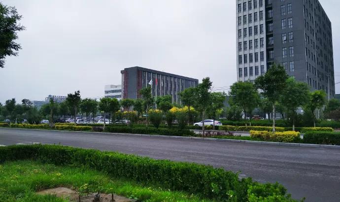 凤凰论坛，思想碰撞的智慧殿堂
