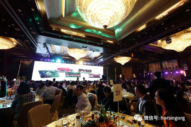 探索一马会，汇聚智慧与激情的精英交流平台