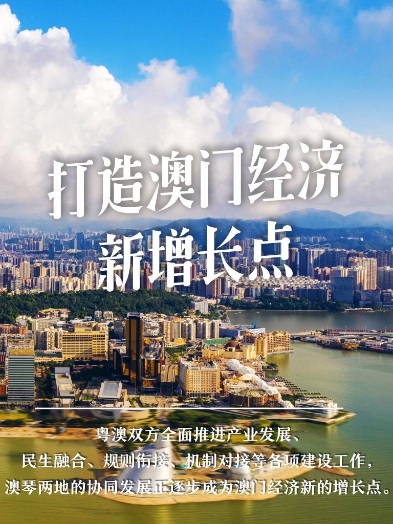 澳门4949免费资料大全，深度解析与特色亮点