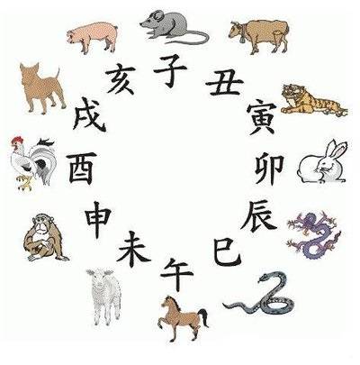 探索2025年12生肖与49码图的神秘交织