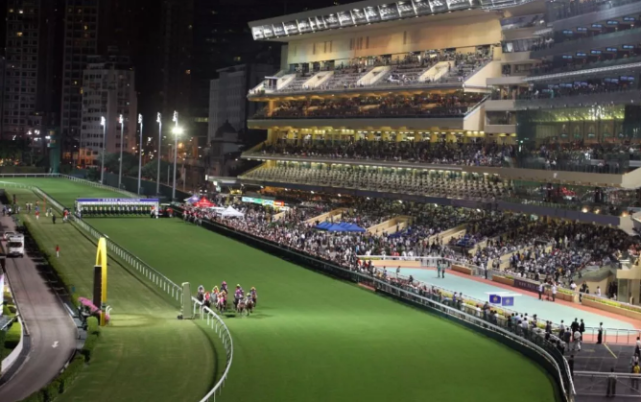 探秘香港马会开结果直播现场，速度与激情的赛马盛宴