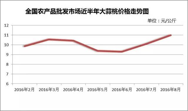 大蒜最新价格，市场动态与影响因素深度剖析