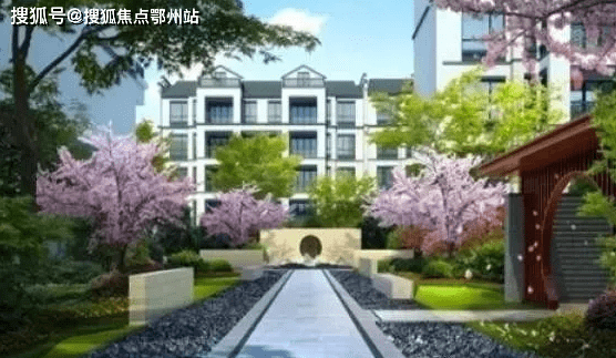 免费共享，新澳精准资料第510期全面解析与价值探讨