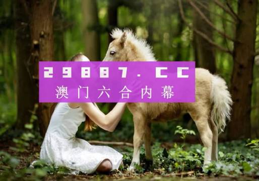 澳门六号码头，今日开奖结果与最新动态
