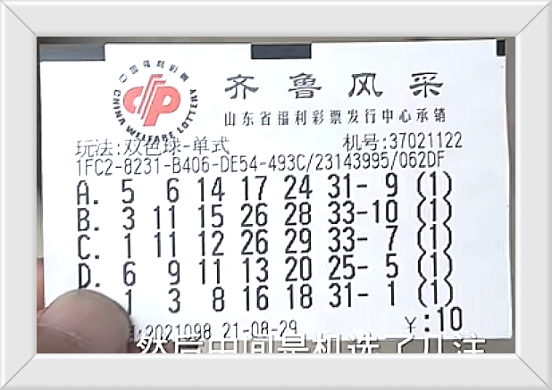 澳门六号码头，今日开奖揭晓，精彩图片回顾