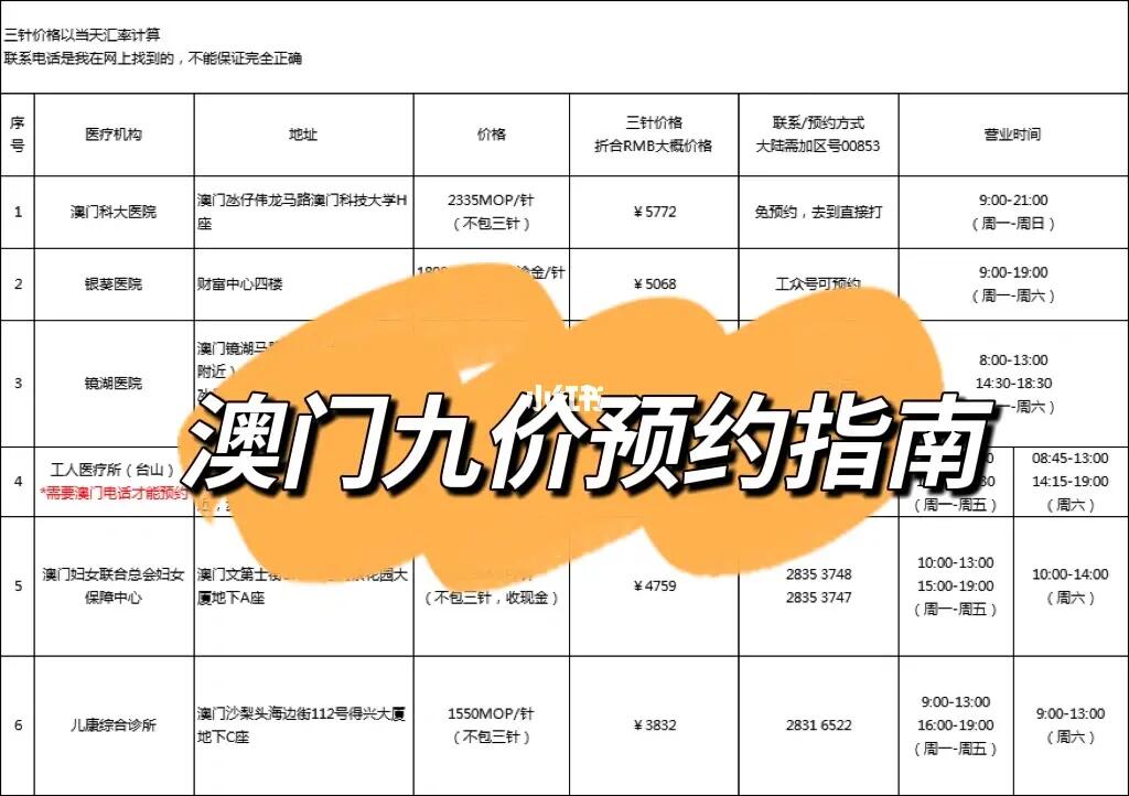 澳门六号码头预约指南，轻松掌握官网网址与查询电话