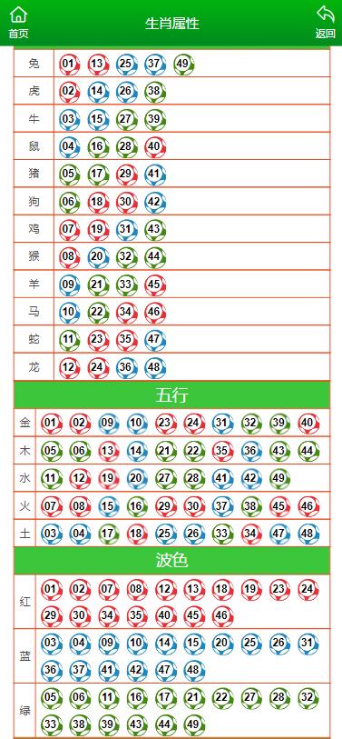 澳门六码六肖一特一中，一场数字与运气的奇妙之旅