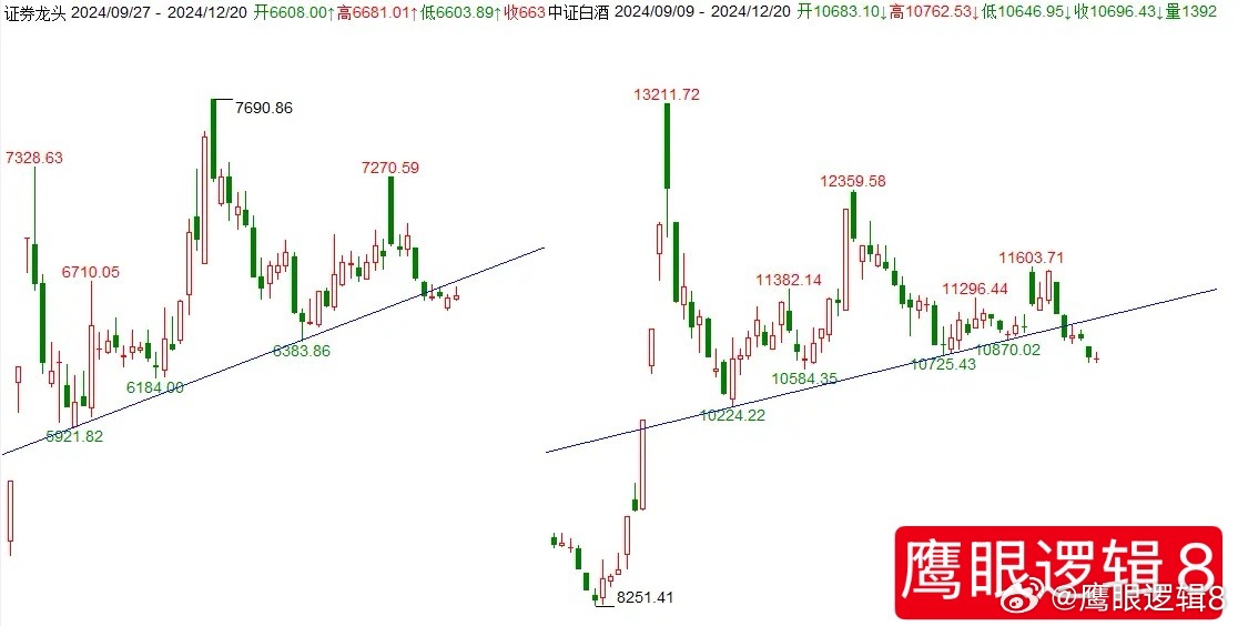 澳门六号码头走势图分析，2020年最新预测与深度解读
