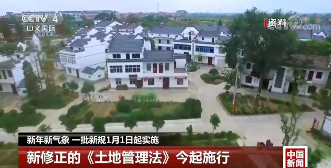 澳门六号论坛最新动态，深度解析与视频集锦—新闻报道全解析