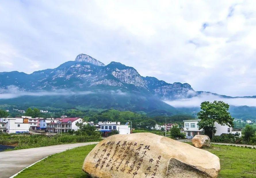 澳门六号彩开奖318，最新开奖结果与市场动态解析
