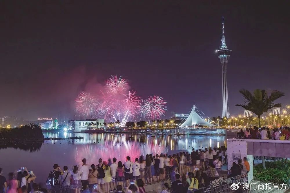 澳门六号码头，解锁最佳观赏体验的视觉盛宴