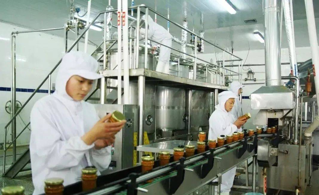 澳门六个赌场经营权的种类与解析
